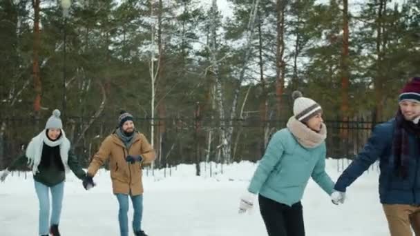 Homens e mulheres casais patinagem no gelo conversando se divertindo na pista de patinação no parque nevado — Vídeo de Stock