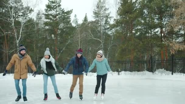 Heureux amis hommes et femmes patinage sur glace dans un parc enneigé s'amuser ensemble — Video