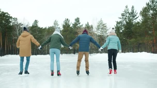 Visão traseira de jovens esportivos de mãos dadas e patinação no gelo no parque de inverno — Vídeo de Stock