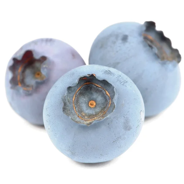 Macro Three Blueberries Isolated White Background — Stock Photo, Image