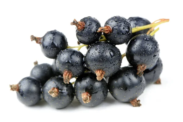 Beyaz Arka Plan Üzerinde Izole Blackcurrants Yakın Çekim Kümesi — Stok fotoğraf