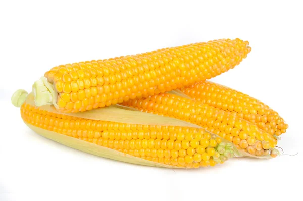 Maïs op de cobs geïsoleerd op witte achtergrond — Stockfoto