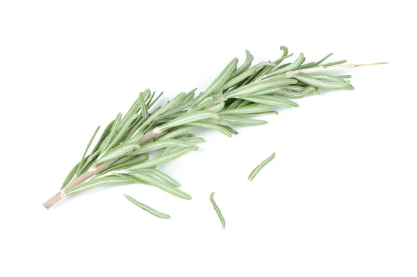 Fresh Rosemary Herb Isolated on White Background — Stock Photo, Image