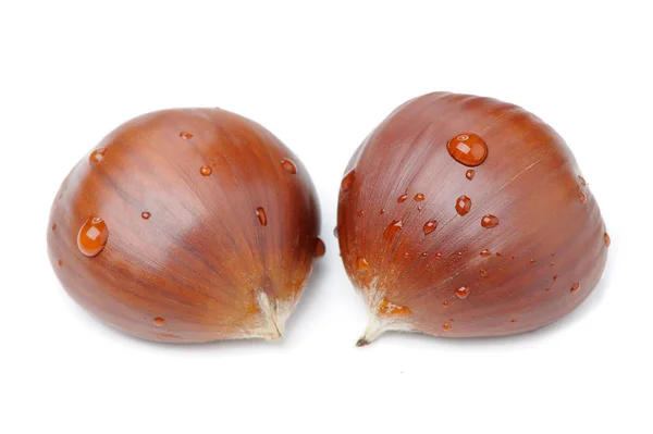 Dois castanhas close-up com gotas de água isoladas em fundo branco — Fotografia de Stock