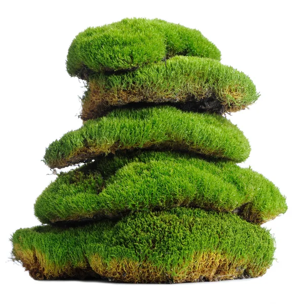 Stack of Moss Clumps Isolated on White — Stock Photo, Image