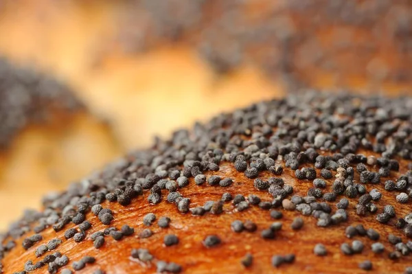 Klaproos zaad broodje close-up — Stockfoto