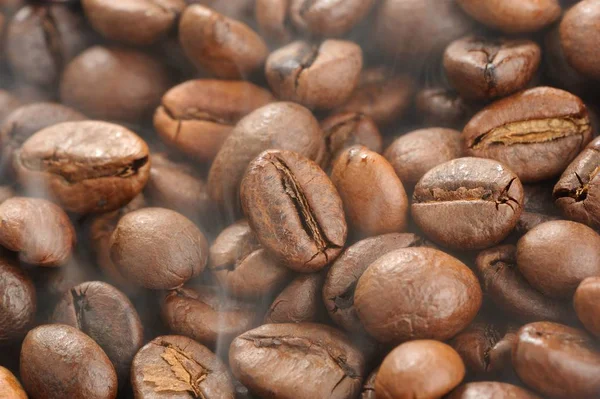 Ångande rostade kaffebönor närbild — Stockfoto