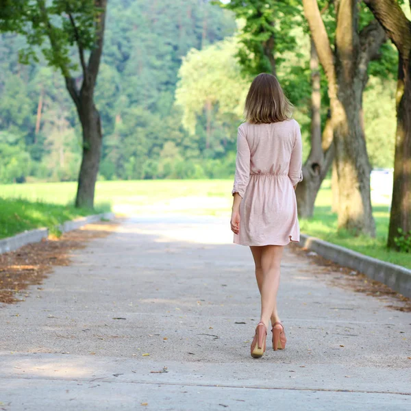 Arkadan Görünüm Tam Büyüme Yaz Park Yürüyordunuz Pembe Elbiseli Sarışın — Stok fotoğraf