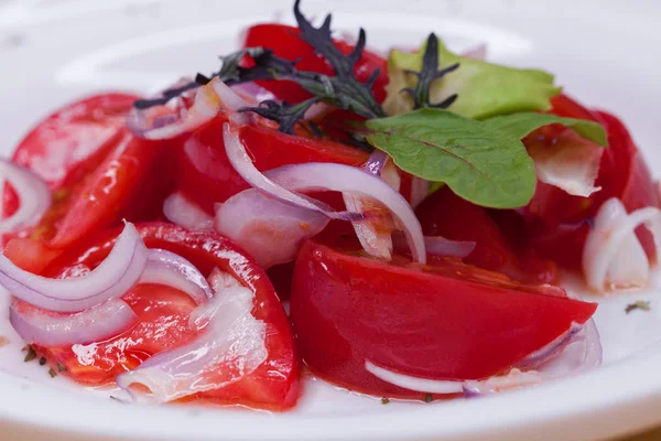 Salad Tomato Onion Appetizer — Stock Photo, Image