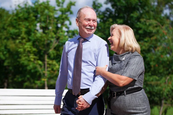 Lyckliga Senior Par Promenader Sommar Parken — Stockfoto