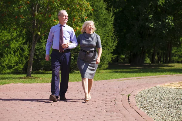 Lyckliga Senior Par Promenader Sommar Parken — Stockfoto