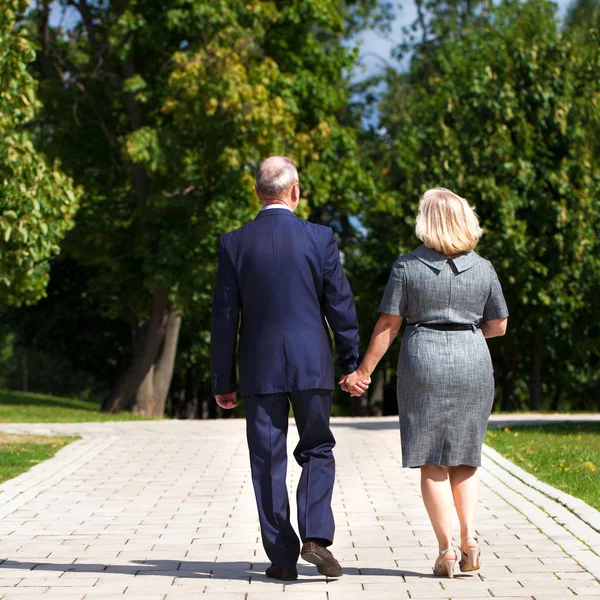 Lyckliga Senior Par Promenader Sommar Parken — Stockfoto