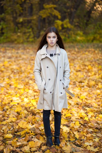 Glückliches Kleines Mädchen Das Herbstpark Spaziert — Stockfoto