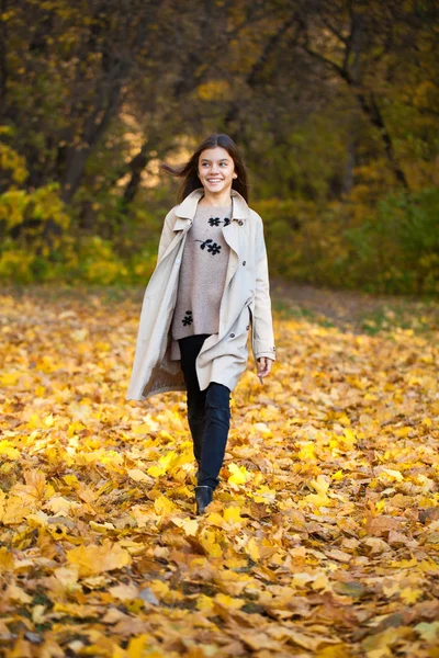 Счастливая Маленькая Девочка Гуляющая Осеннем Парке — стоковое фото
