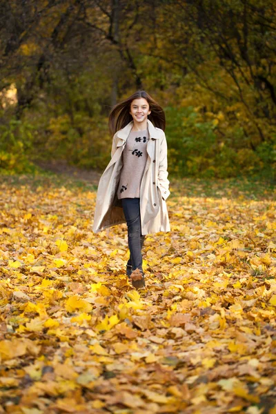 Ευτυχισμένος Κορίτσι Λίγο Περπάτημα Στο Πάρκο Φθινόπωρο — Φωτογραφία Αρχείου
