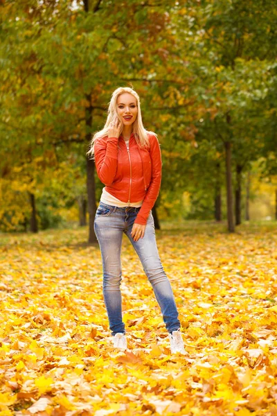 Ritratto Felice Sorridente Bella Giovane Donna Parco Autunnale All Aperto — Foto Stock