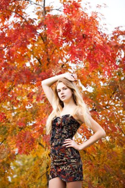 Açık havada sonbahar parkında seksi elbiseli güzel sarışın bir kadının portresi.