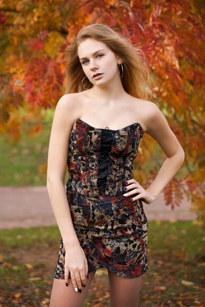 Close Portrait Beautiful Young Blonde Woman Sexy Dress Autumn Park — Stock Photo, Image