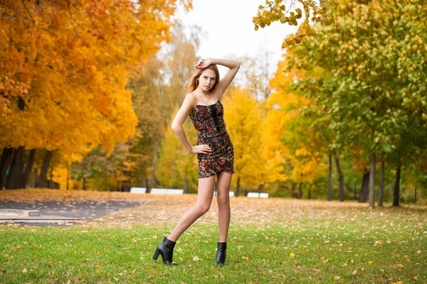 Full Body Young Beautiful Blonde Woman Sexy Dress Autumn Park — Stock Photo, Image