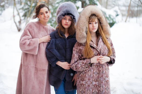 Três Modelos Moda Casaco Peles Retrato Comprimento Total Jovens Mulheres — Fotografia de Stock
