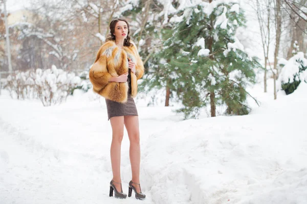 Full Length Portrait Young Beautiful Elegant Brunette Woman Wearing Fur — Stock Photo, Image