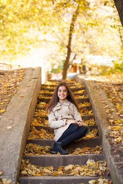 Portrait Une Belle Jeune Fille Brune Parc Automne Plein Air — Photo