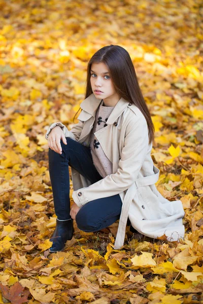 Portrait Beautiful Young Brunette Little Girl Autumn Park Outdoors — Stock Photo, Image