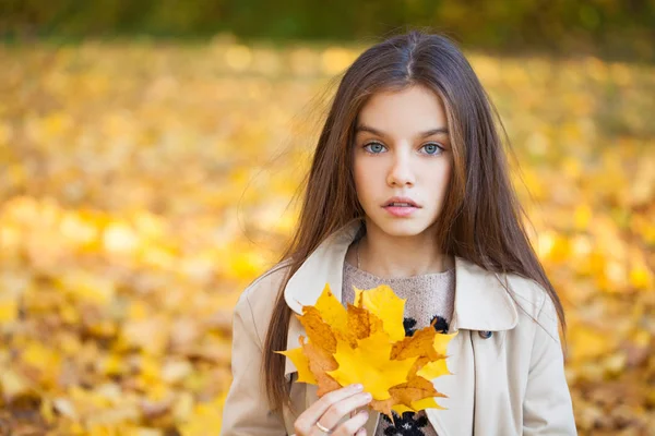 Porträt Einer Schönen Jungen Brünetten Mädchen Herbst Park Freien — Stockfoto