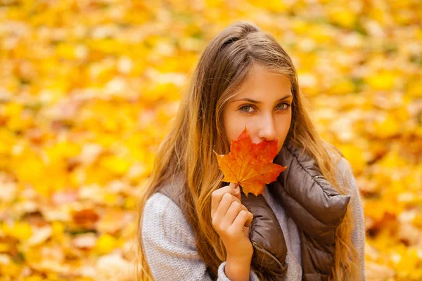 Hermosa Niña Acuesta Hojas Parque Hermoso Día Otoño —  Fotos de Stock