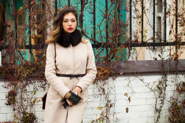 Portrait Une Jeune Belle Femme Manteau Beige Avec Sac Automne — Photo