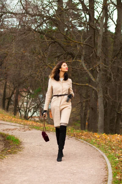 Sonbahar Park Yürüyordunuz Bir Çanta Ile Bej Bir Palto Bir — Stok fotoğraf