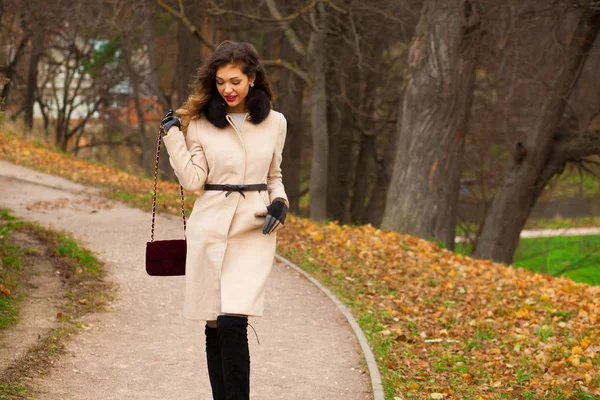 Portrait Young Beautiful Woman Beige Coat Bag Posing Background Autumn — Stock Photo, Image