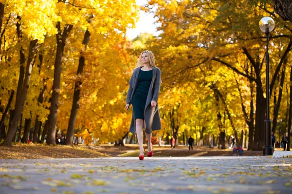 Joven Hermosa Rubia Sexy Mujer Abrigo Gris Caminando Parque Otoño —  Fotos de Stock