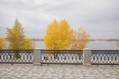 Renkli ve sisli sonbahar park