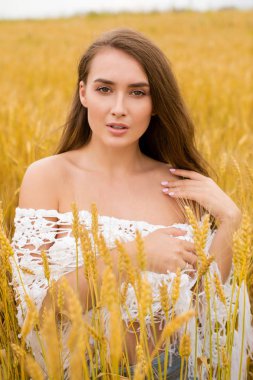 Altın buğday alan, yaz açık havada bir arka plan üzerinde genç seksi bir sarışın kadın portresi