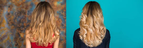 Collage two hair style. Female Long wavy blonde hair, rear view, studio wall background