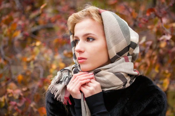 俄罗斯女孩 美丽的年轻金发碧眼的女人的肖像在围巾 秋天公园户外 — 图库照片