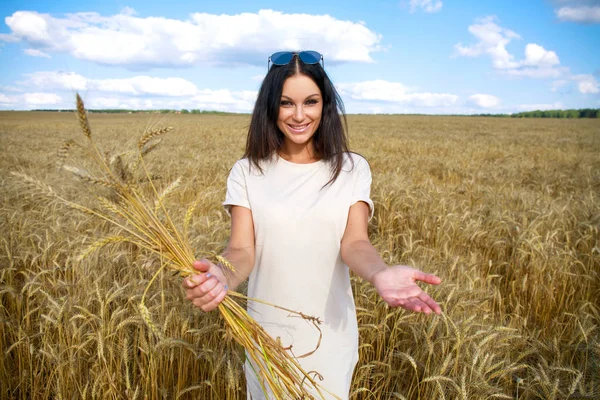 Follow Beautiful Sexy Young Woman Holds Hand Man Wheat Field — Stock Photo, Image