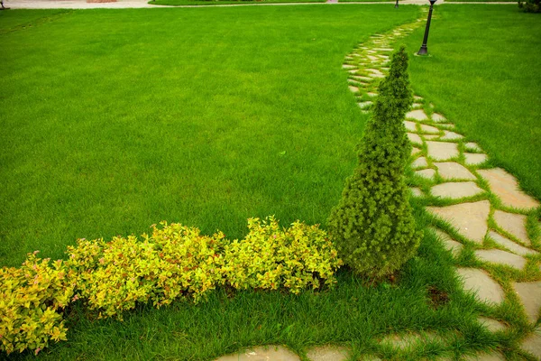 Güzel Bir Bahçe Villa Evi Önünde — Stok fotoğraf