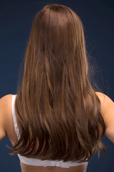 Vrouwelijke Long Brunette Haar Achteraanzicht Geïsoleerd Blauwe Achtergrond — Stockfoto