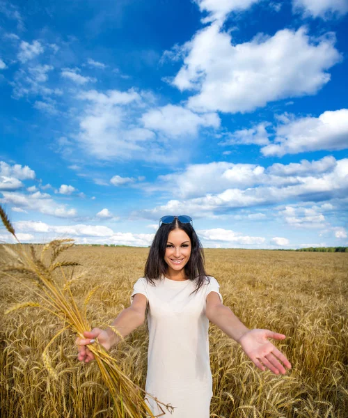 Portrait Young Brunette Woman Background Golden Wheat Field Summer Outdoors — Stock Photo, Image