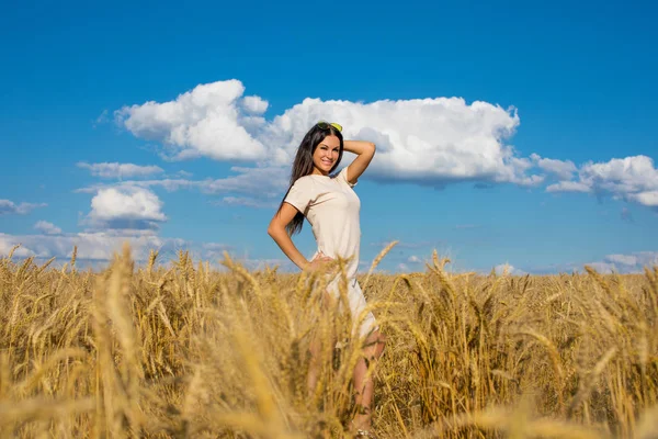 Портрет Юной Брюнетки Фоне Золотого Пшеничного Поля Лето Открытом Воздухе — стоковое фото