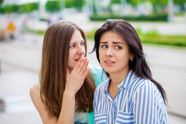 Two Young Women Talking Each Other Girl Friends Having Chat — Stock Photo, Image