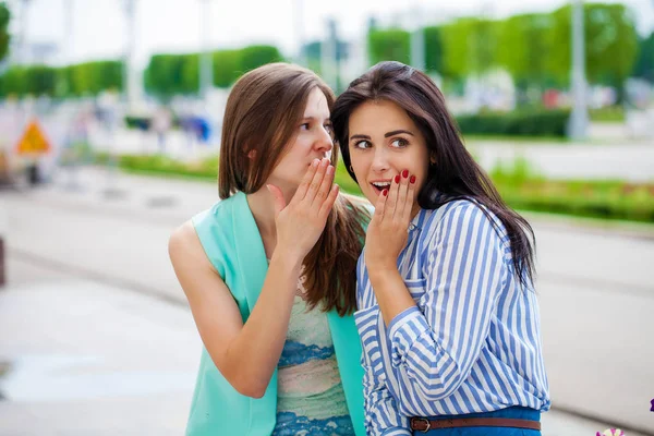 Dos Mujeres Jóvenes Hablando Entre Ellas Chicas Amigas Teniendo Una —  Fotos de Stock