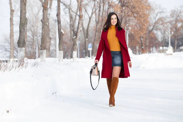 完全なボディ 冬の公園でポーズの赤いコートで若い美しいブルネットの女性 スタイリッシュな暖かい服を着てモデル — ストック写真