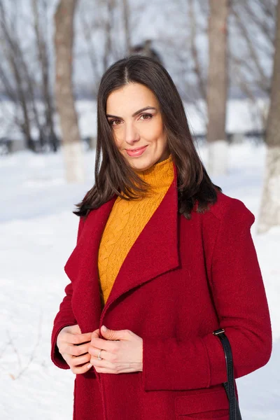 Młoda Kobieta Piękna Brunetka Czerwonym Płaszczu Pozowanie Winter Park Modelka — Zdjęcie stockowe