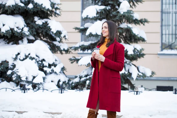 Молодая Красивая Брюнетка Красном Пальто Позирует Зимнем Парке Модель Стильной — стоковое фото