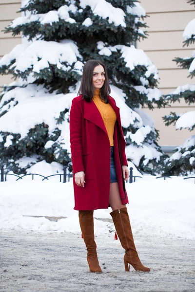 Повне Тіло Молода Красива Брюнетка Червоному Пальто Позує Зимовому Парку — стокове фото