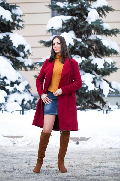 Повне Тіло Молода Красива Брюнетка Червоному Пальто Позує Зимовому Парку — стокове фото