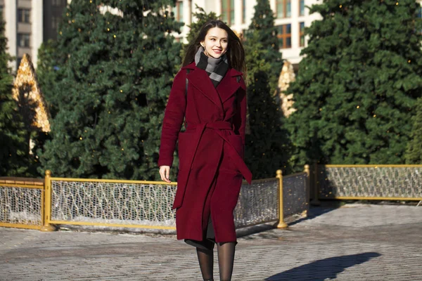 Joven hermosa morena con abrigo rojo posando en el parque de invierno —  Fotos de Stock